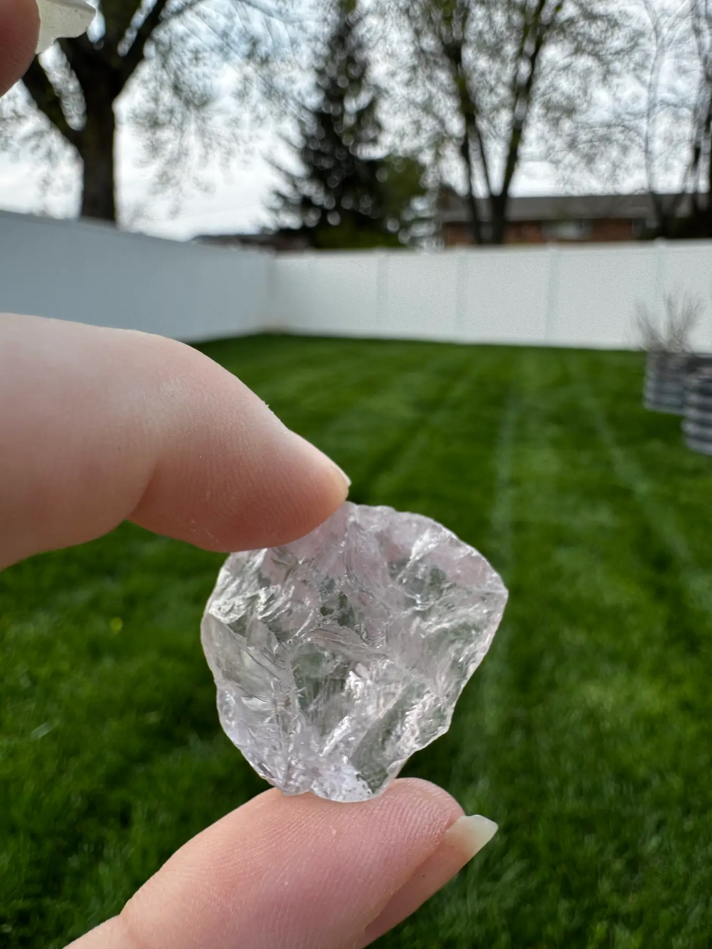 Rose de France Amethyst 2