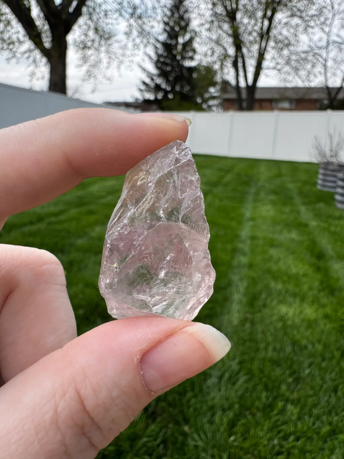 Rose de France Amethyst 3