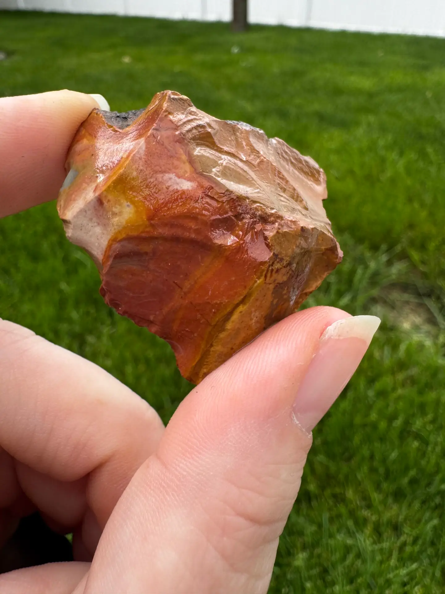 Raw Polychrome Jasper 4