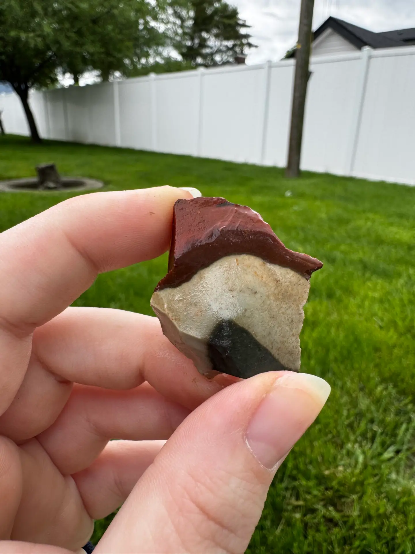 Raw Polychrome Jasper 3