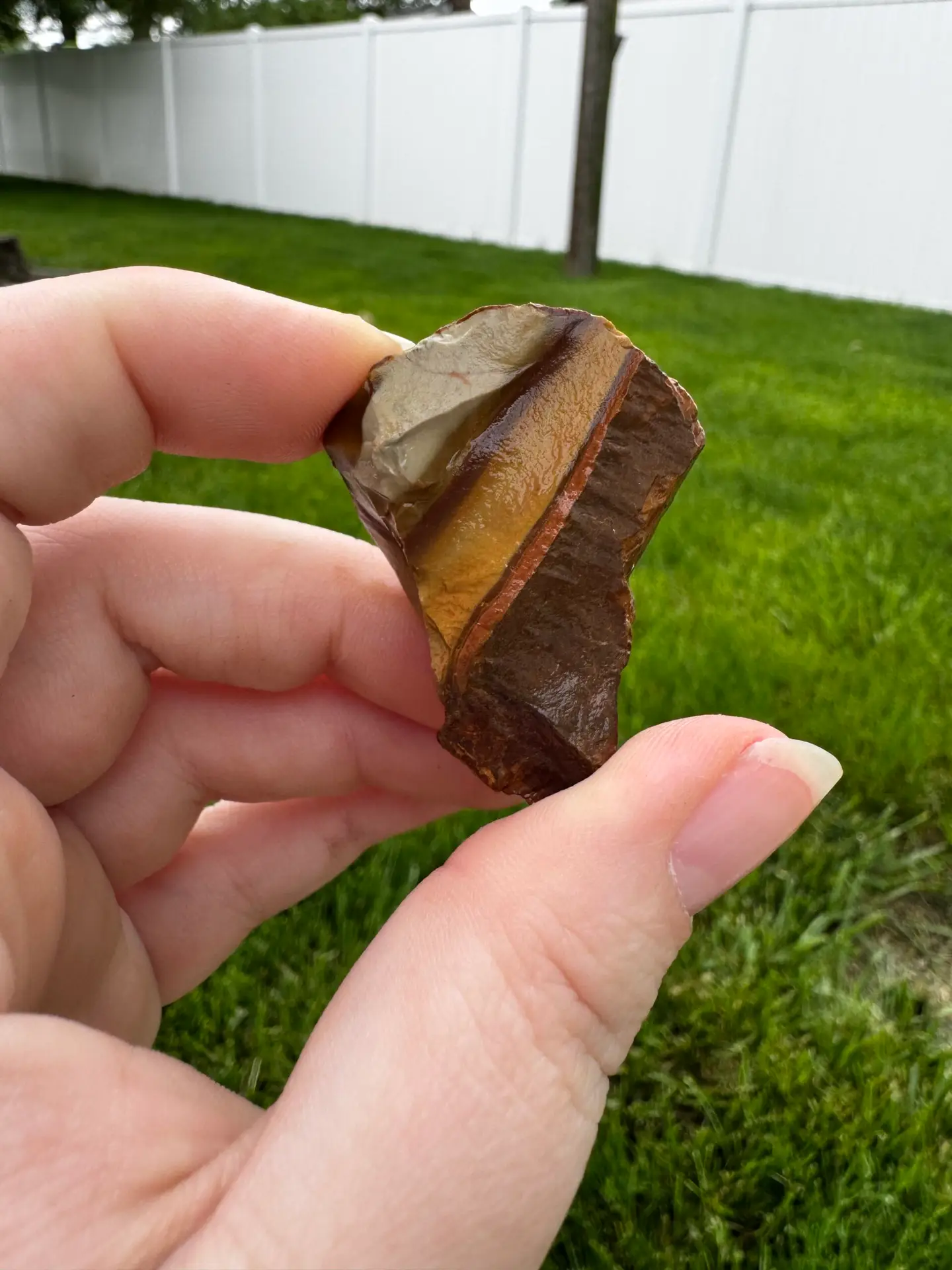 Raw Polychrome Jasper 2